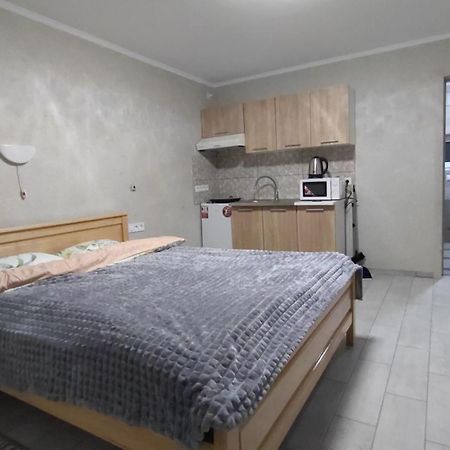 Guesthouse U Dida Viktora 亚列姆切 外观 照片
