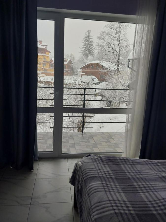 Guesthouse U Dida Viktora 亚列姆切 外观 照片