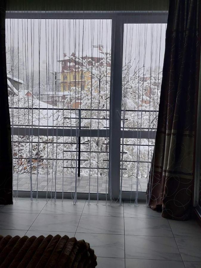 Guesthouse U Dida Viktora 亚列姆切 外观 照片