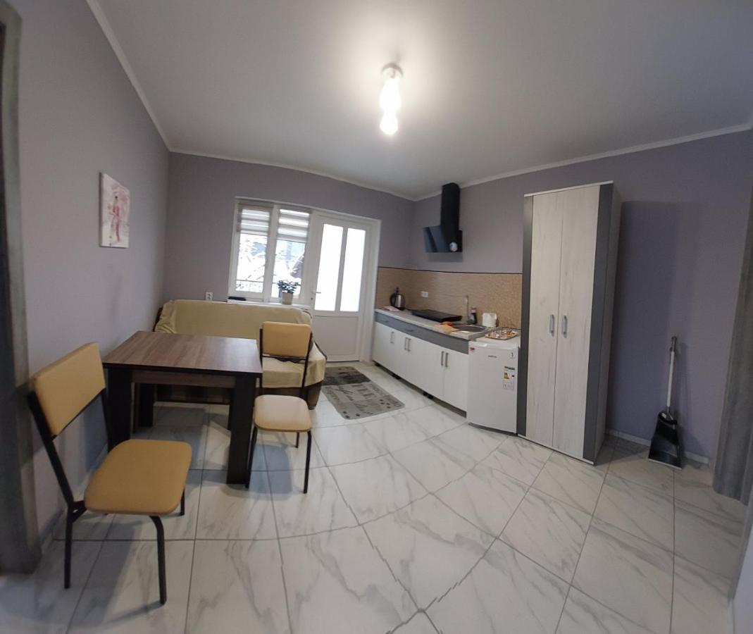 Guesthouse U Dida Viktora 亚列姆切 外观 照片