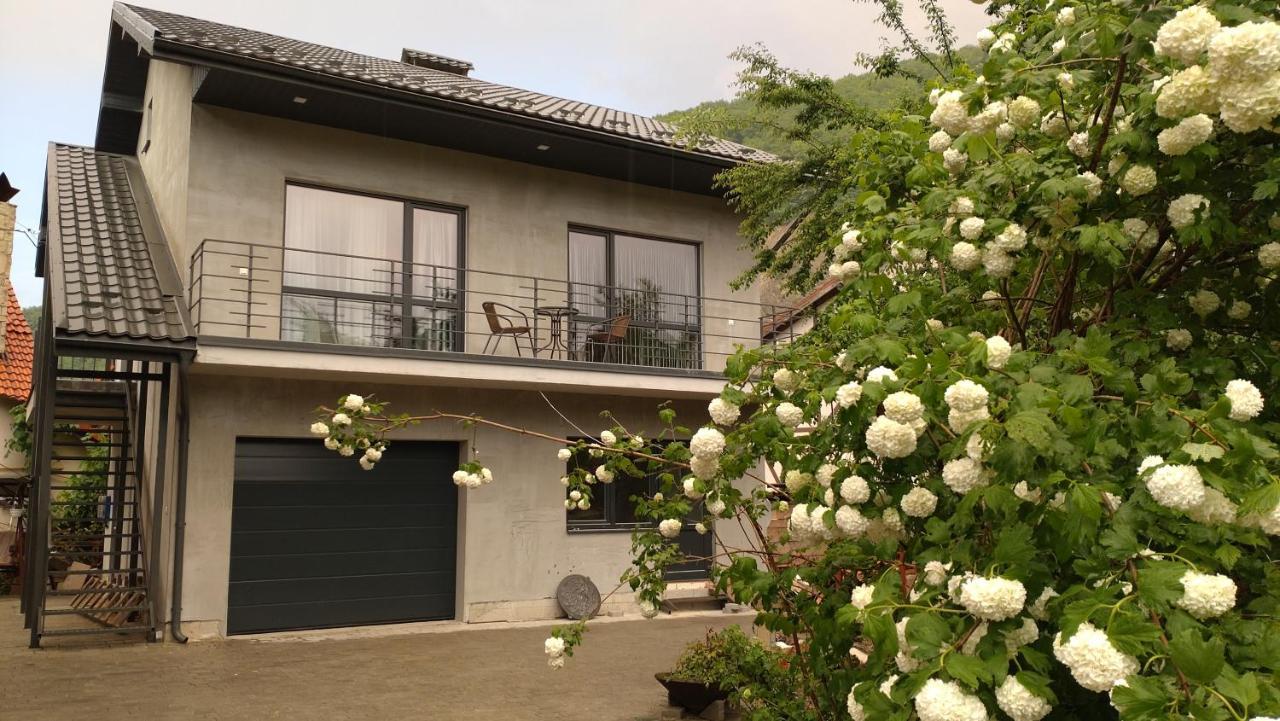 Guesthouse U Dida Viktora 亚列姆切 外观 照片