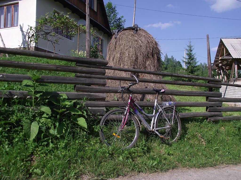 Guesthouse U Dida Viktora 亚列姆切 外观 照片